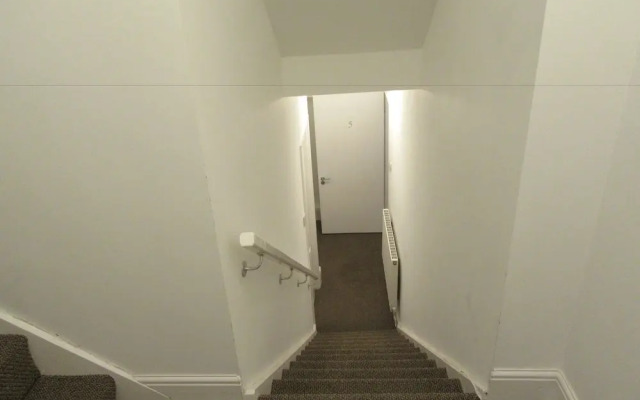 No 5