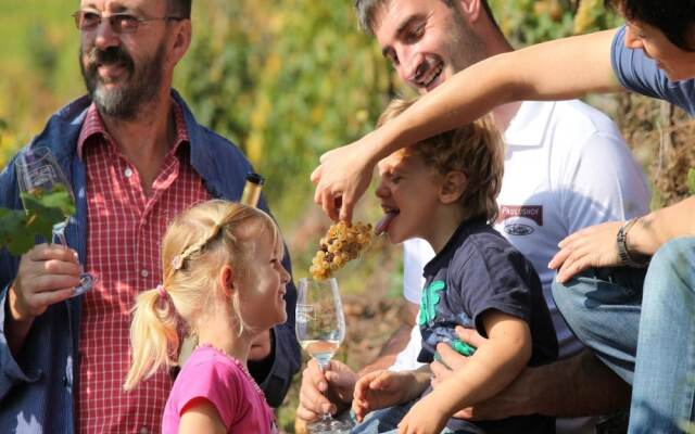 Wein & Wohngut Paulushof