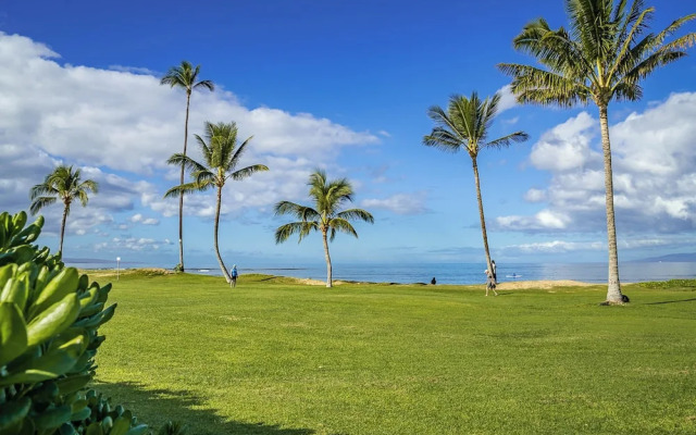 Waipuilani 102