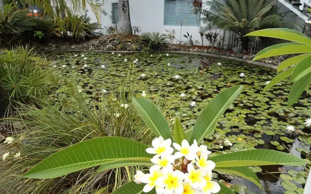 Best Western Mango House Resort