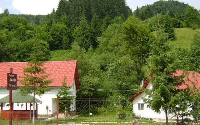 Pensiunea Rustica