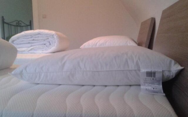 Lodge The City Jester