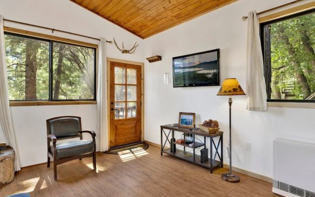 Bear Forest Cabin #2553