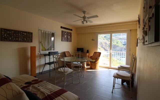 Appartement Collioure, 3 pièces, 4 personnes - FR-1-309-349