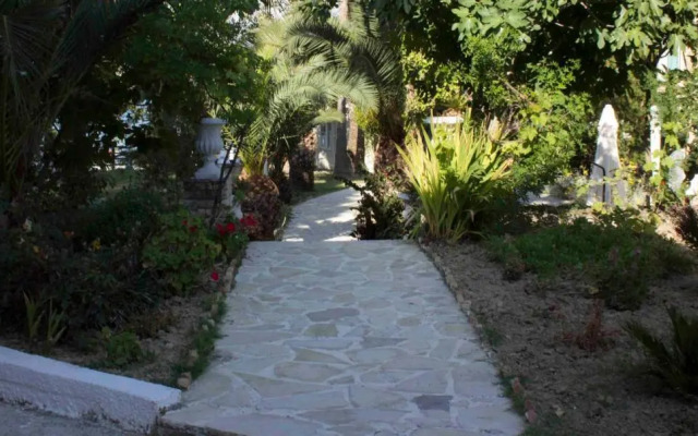 Olive Grove Apts
