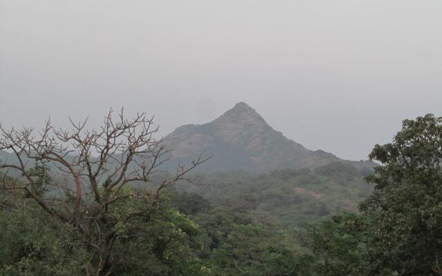 Forest Eco Lodge