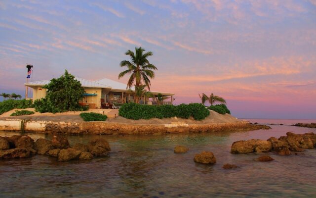Friendsgiving Island