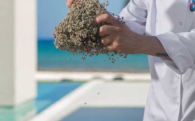 Eros Cyprus Hotel