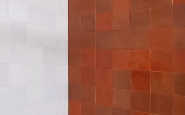 Vistavicolo