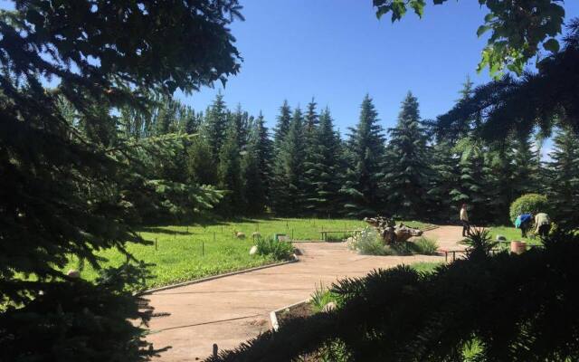 Тулпар (Иссык-Куль)