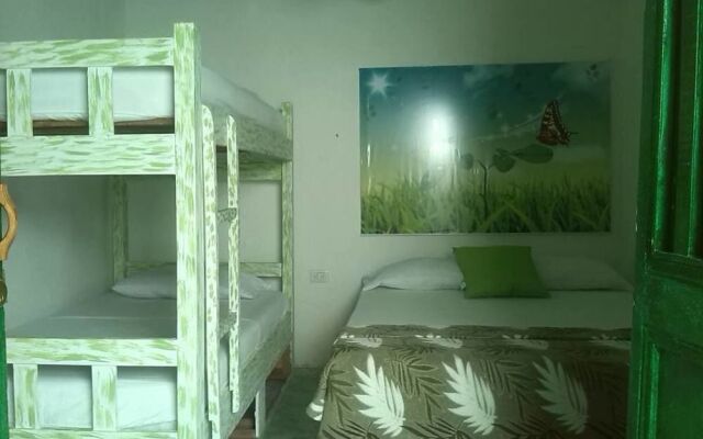 Hostel Green House Coffee Bar