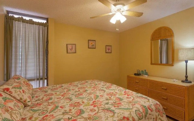 South Maui Luxury Rentals