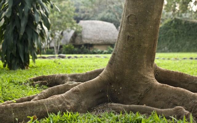 Rodavento Natural