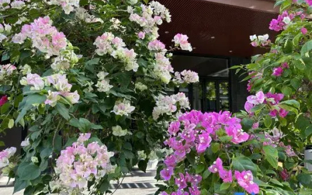 Xishe No.1 Homestay