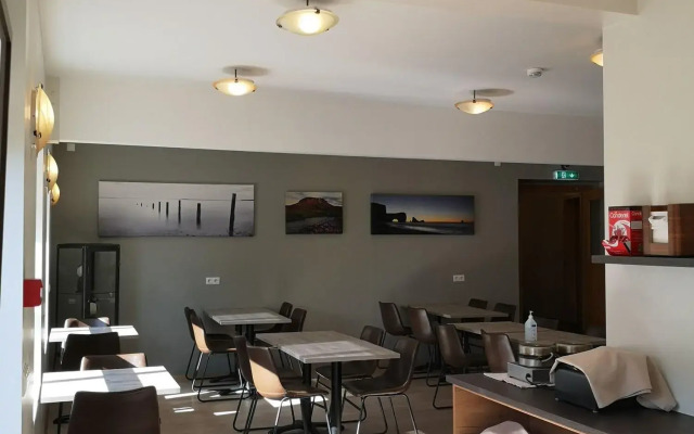 Puffin Hotel Vik