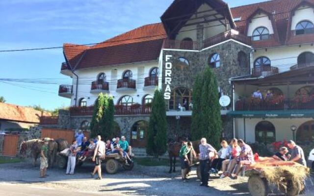 Korondi Forrás Panzio