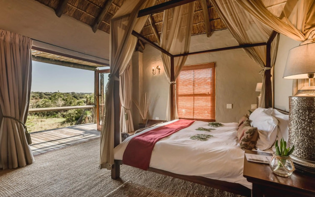 Hlosi Game Lodge - Amakhala Game Reserve