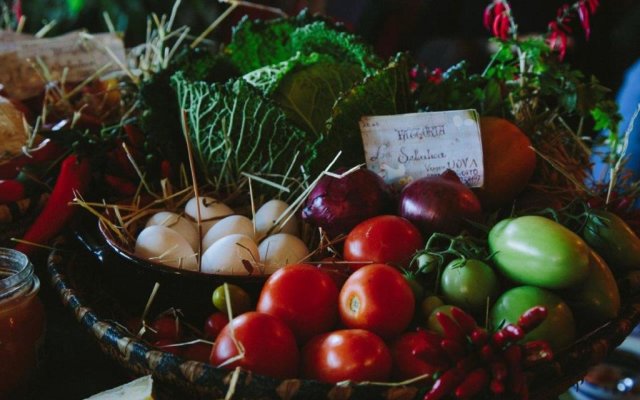 Appartamento Fidanza