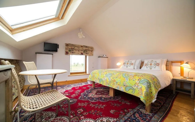 Brush and Boot B&B