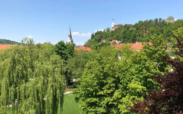 Castle View Studio