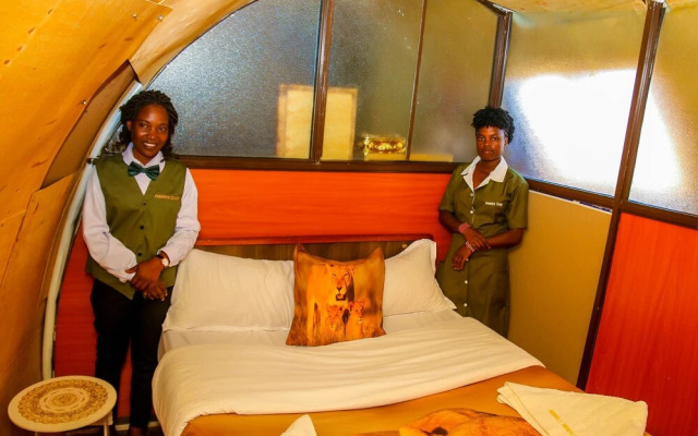 Amanya 2-rooms Lioness Family