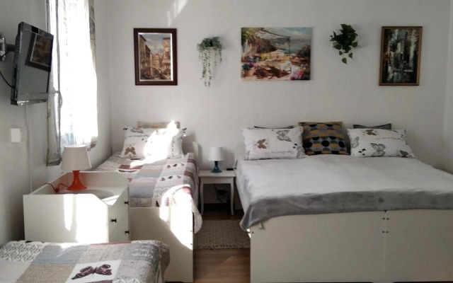 ECO-LUX APART with free bicycles end free parking