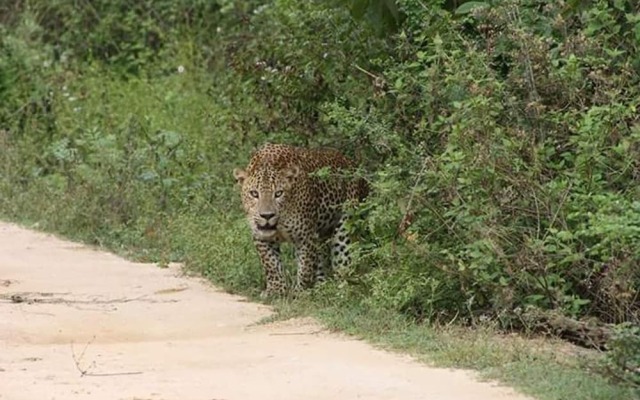 Nature Park Udawalawe