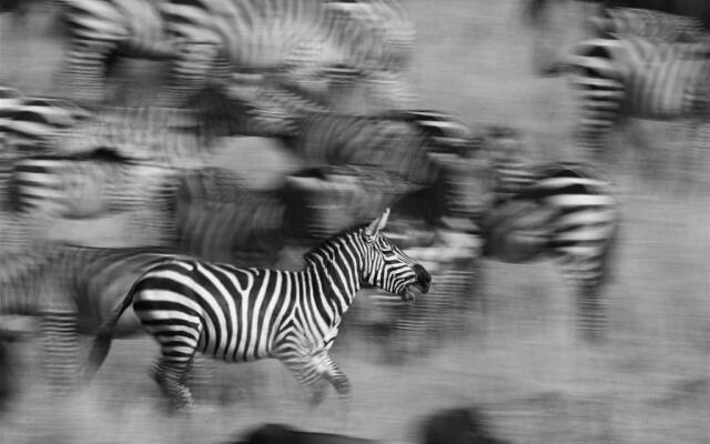 Southern Sands Eco Lodge