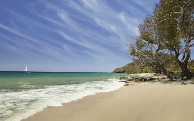 The Liming Bequia