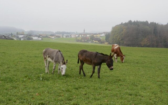 Bauernhof Lenzenbauer