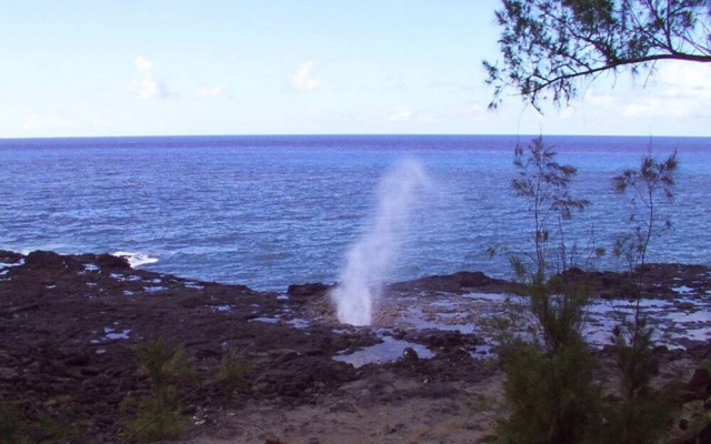 Kuhio Village 410A - 1 Br Condo