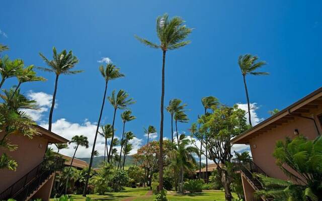 Maui Sands #6e 1 Bedroom Condo by RedAwning