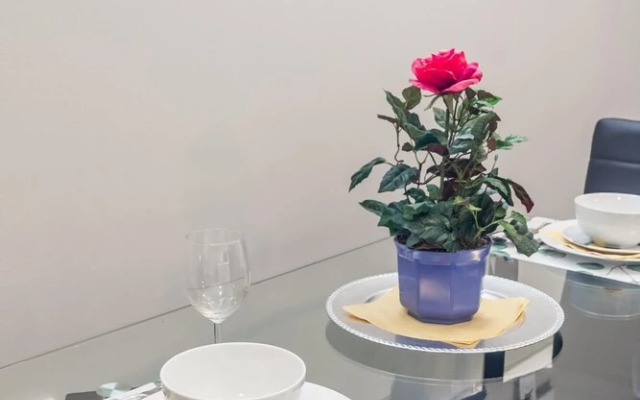 Modern Rustic 1BR Boutique Apt Within DT Hamilton