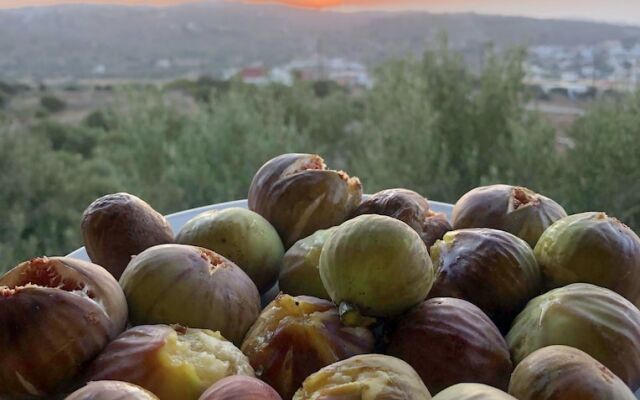 Theoxenia Suites & Apartments