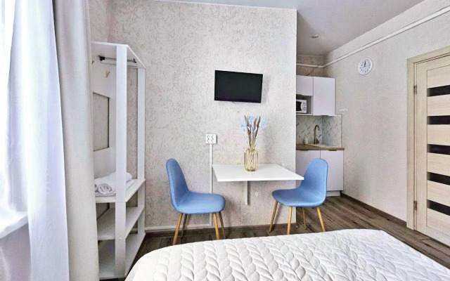 Апартаменты Исторический флигель на улице Писарева