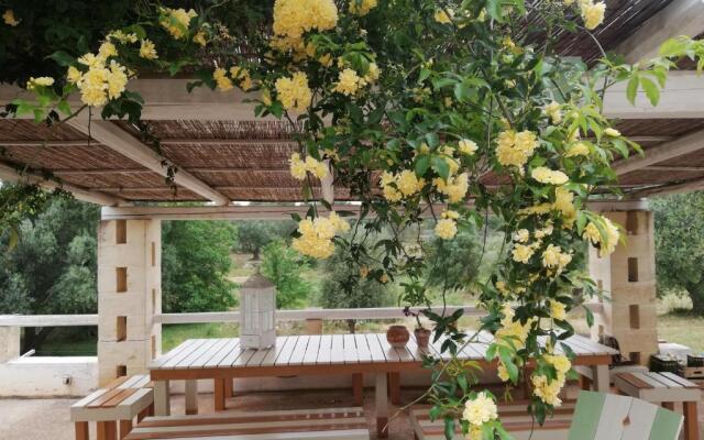 Giovannarolla Green House