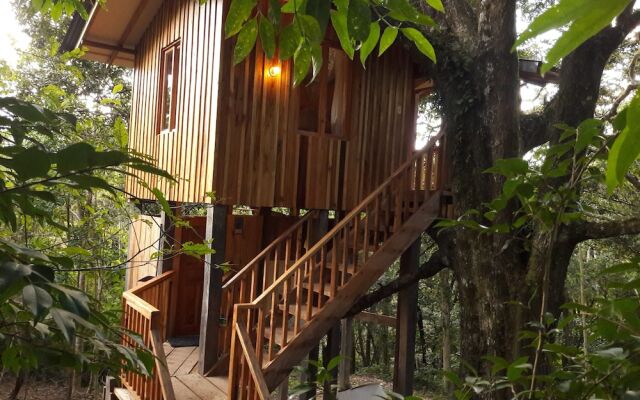 Mount Totumas Cloud Forest