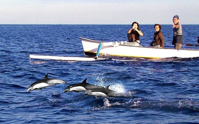 Collection O 90805 Aditya Beach Resort And Spa