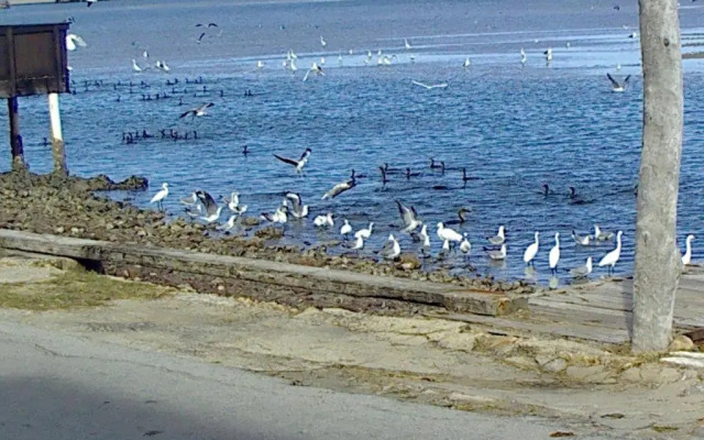 Riverfront close to beach