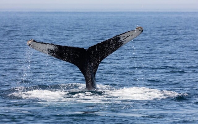 Great Location 1BR Studio wtih Pool & Marina view