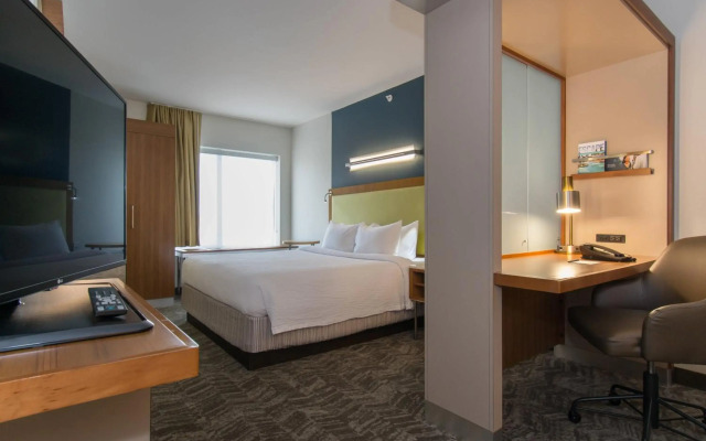 SpringHill Suites by Marriott Columbia Downtown/The Vista