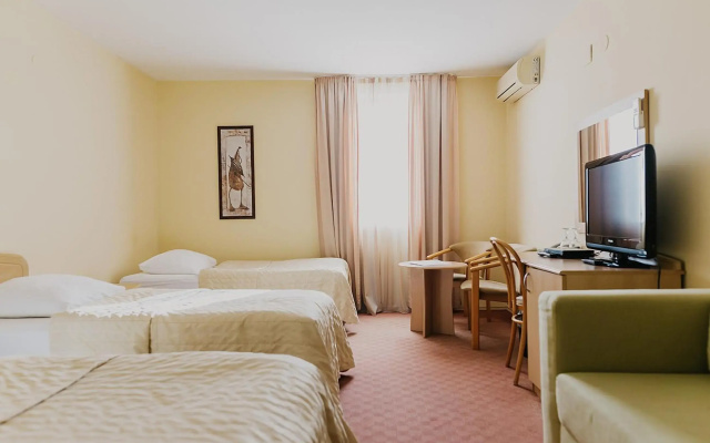 Hotel Silver