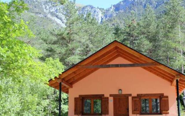 Camping Pineta
