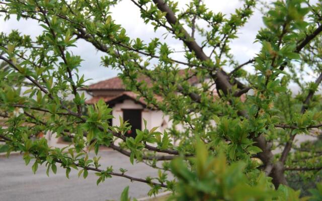 Agriturismo Torre Cristina