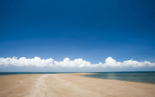 Saadani Safari Lodge - bush, river, beach