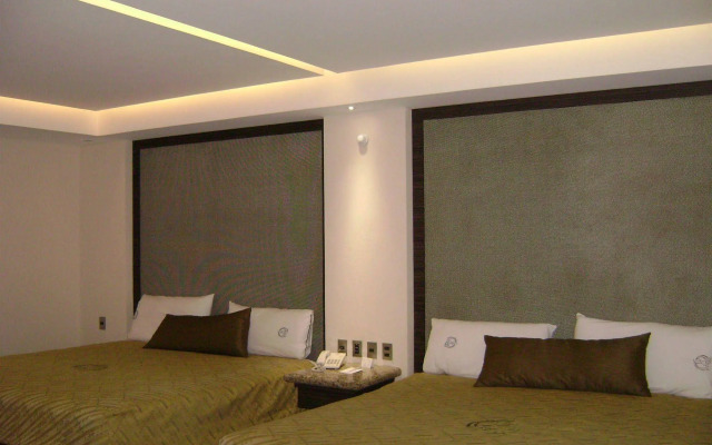 Holiday Inn Express Mexico Basilica