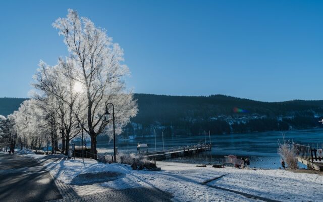 Hotel Bären Titisee