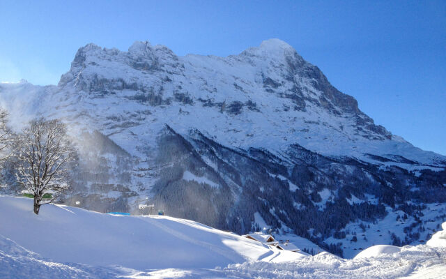 Chalet Bergfink