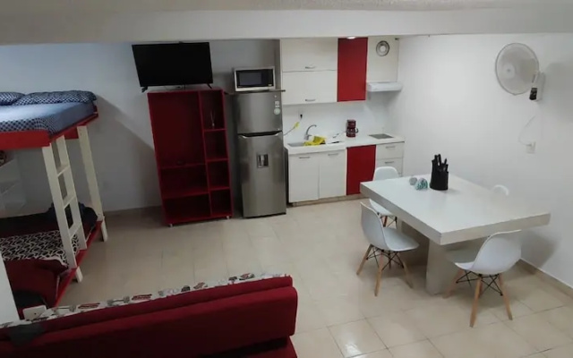 Room in Studio - New Basement Loft With all the Amenities
