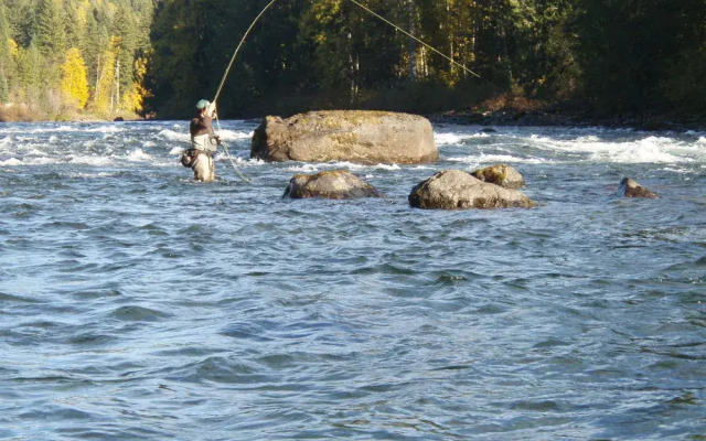 Northern Lights Lodge